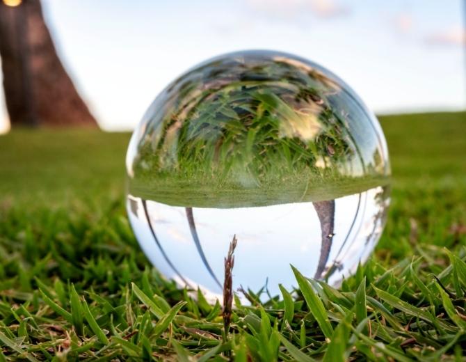 Survivorship Bias: Is the Grass Really Greener on the Other Side?